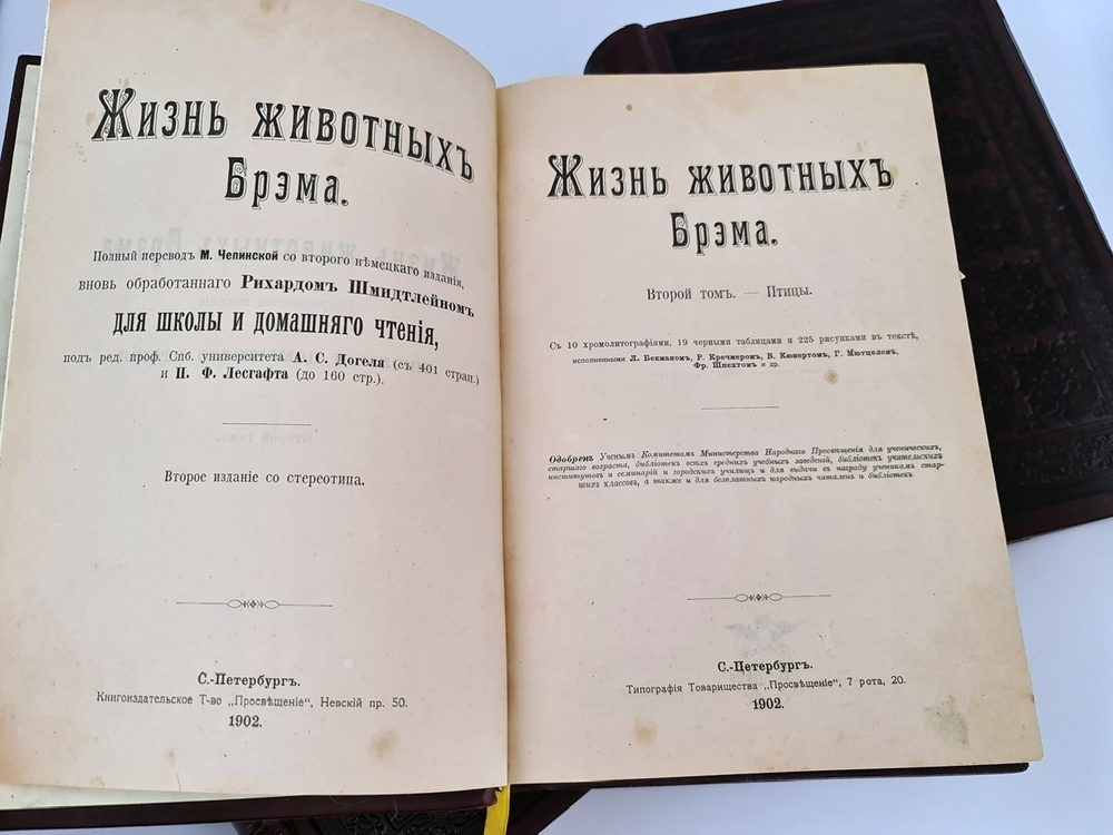 "Жизнь животных". А.Э.Брэм. 1904 г. - антикварная книга