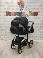 Коляска модульная Adamex Chantal Star Collection Star 102