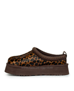 TAZZ - Caspian Burnt Cedar