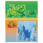 Тетрадь А5, 48 л., HATBER-ECO, скоба, офсет №2 ЭКОНОМ, клетка, обложка картон, "Seasons", 48Т5D1, 5шт