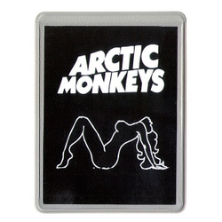 Чехол для проездного Arctic Monkeys