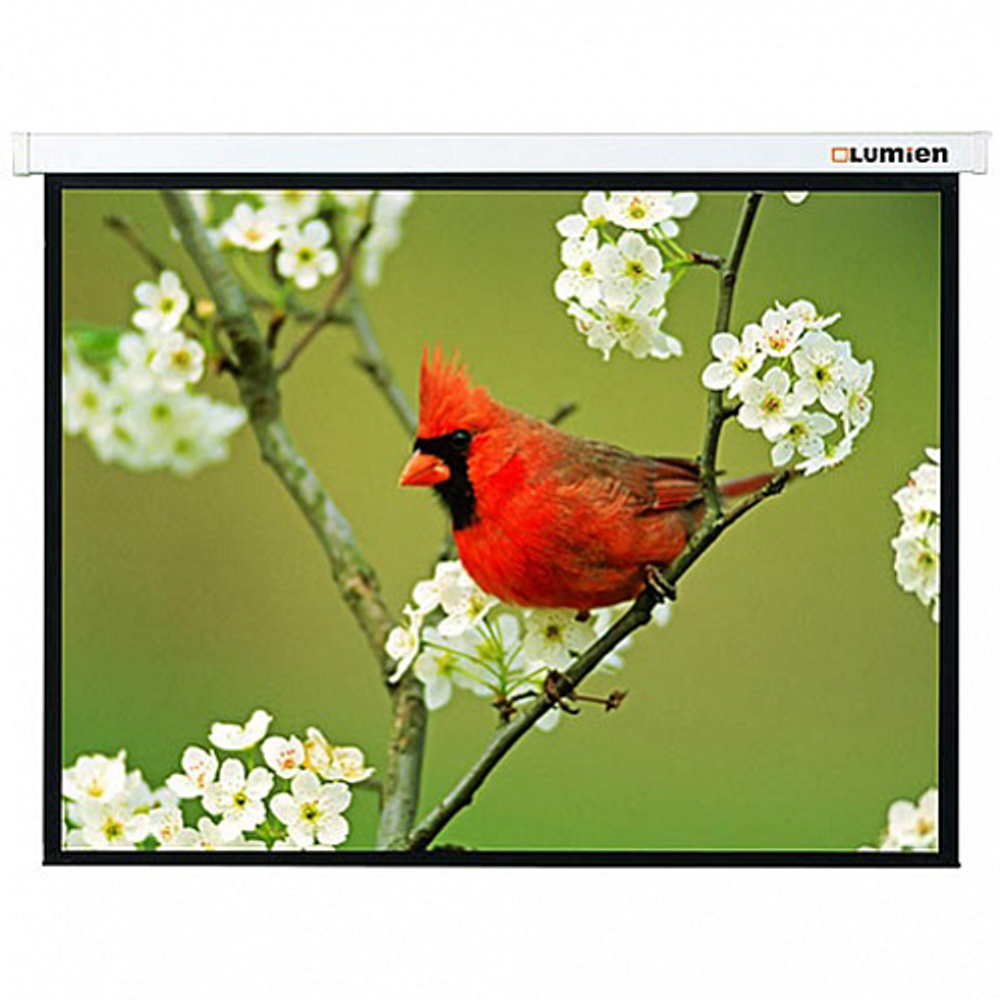 Настенный проекционный экран Lumien Master Picture 191x300 см Matte White FiberGlass [LMP-100136]