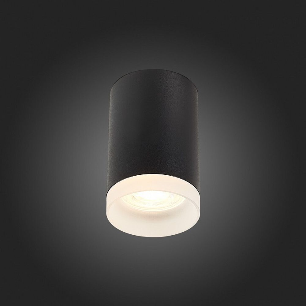 Накладной светильник ST-Luce ST100 ST100.402.01