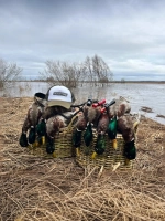 Манок на утку Утиный Мастер H048 конус