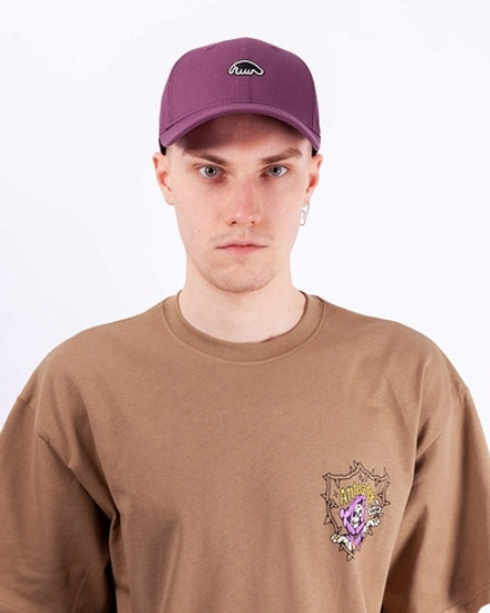 Кепка Anteater Baseball-Violet