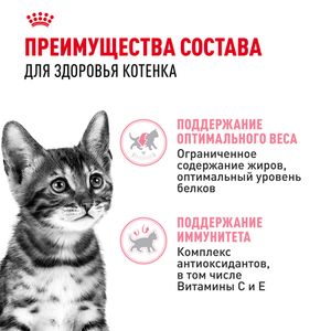 Пауч Royal Canin Kitten Sterilised для кастрированных и стерилизованных котят (в возрасте от 6 до 12 месяцев), мелкие кусочки в соусе
