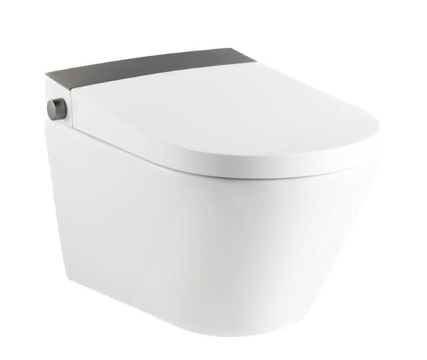 Умный унитаз RIIFO Provecta B-2026Q.