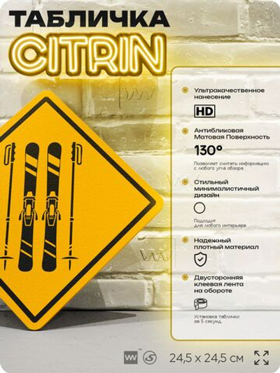 Табличка декоративная "Лыжи" на дверь и стену, спортивная, информационная, декоративный знак, 24,5х24,5 см, пластиковая, Айдентика Технолоджи
