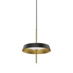 Подвесной светильник MD18001061-1A  black/gold