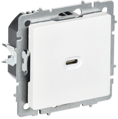 BRITE Розетка USB C 65Вт высокоскоростная зарядка РЮ12-1-БрАБ арктический белый IEK