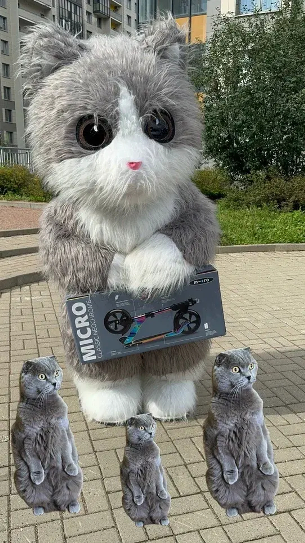 Котик Виталий
