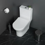 Унитаз-моноблок BelBagno LOUNGE BB8618CPR-MN/SC безободковый, с бачком, с крышкой микролифт
