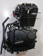 Двигатель 250см3 165FMM (без балансирующего вала) Мотоцикл PROGASI Palma 250 SE