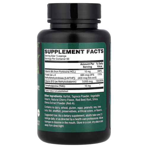 PlantFusion, Веганский метил B12 + фолат, натуральная вишня, 60 пастилок