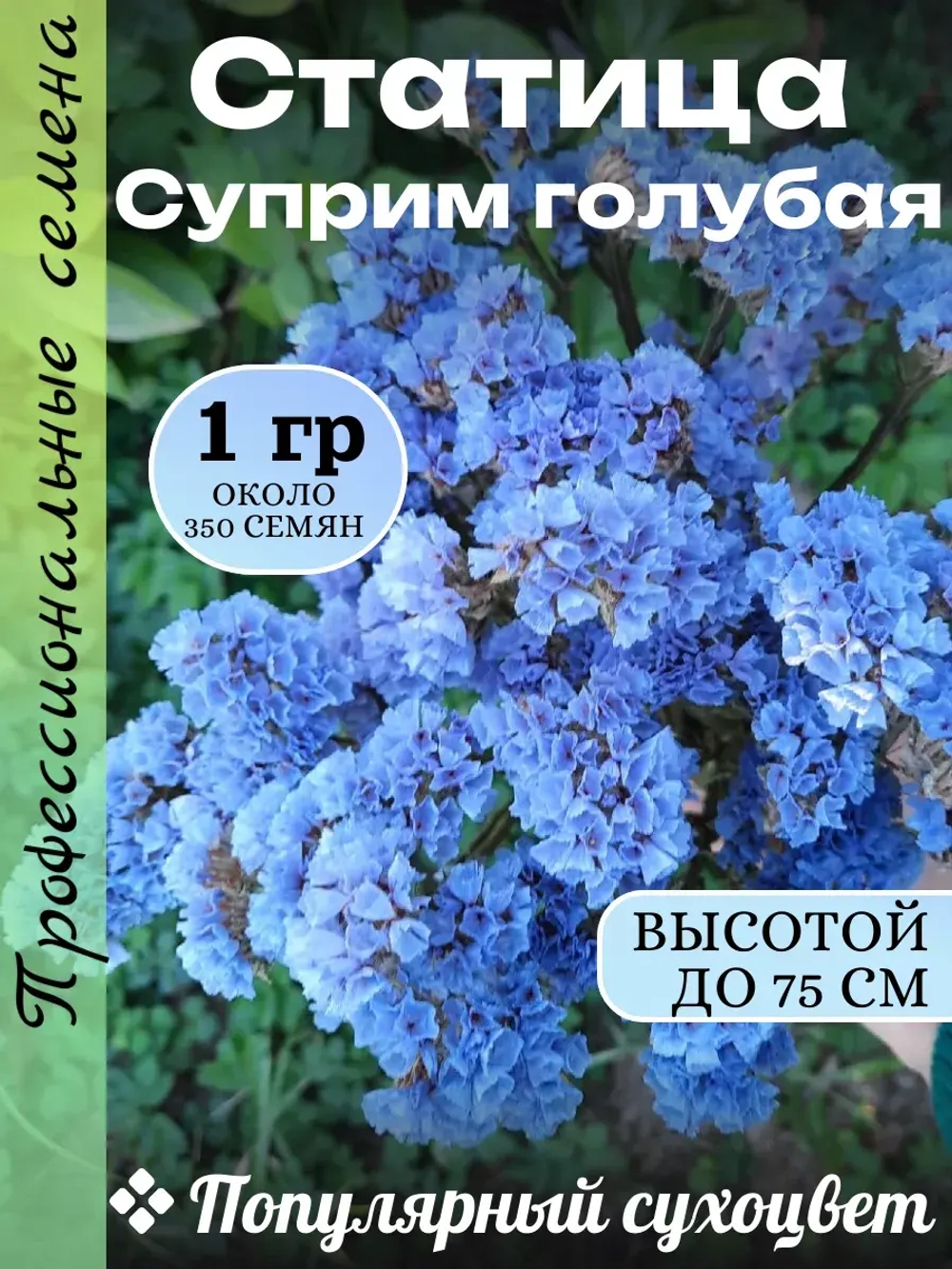 Семена Статица Суприм голубая - 1 грамм