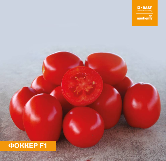 Фоккер F1 семена томата детерминантного (Nunhems / Нюнемс) продукт