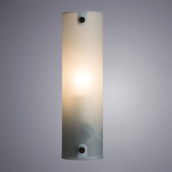 Светильник для картин Arte Lamp A4101AP-1WH