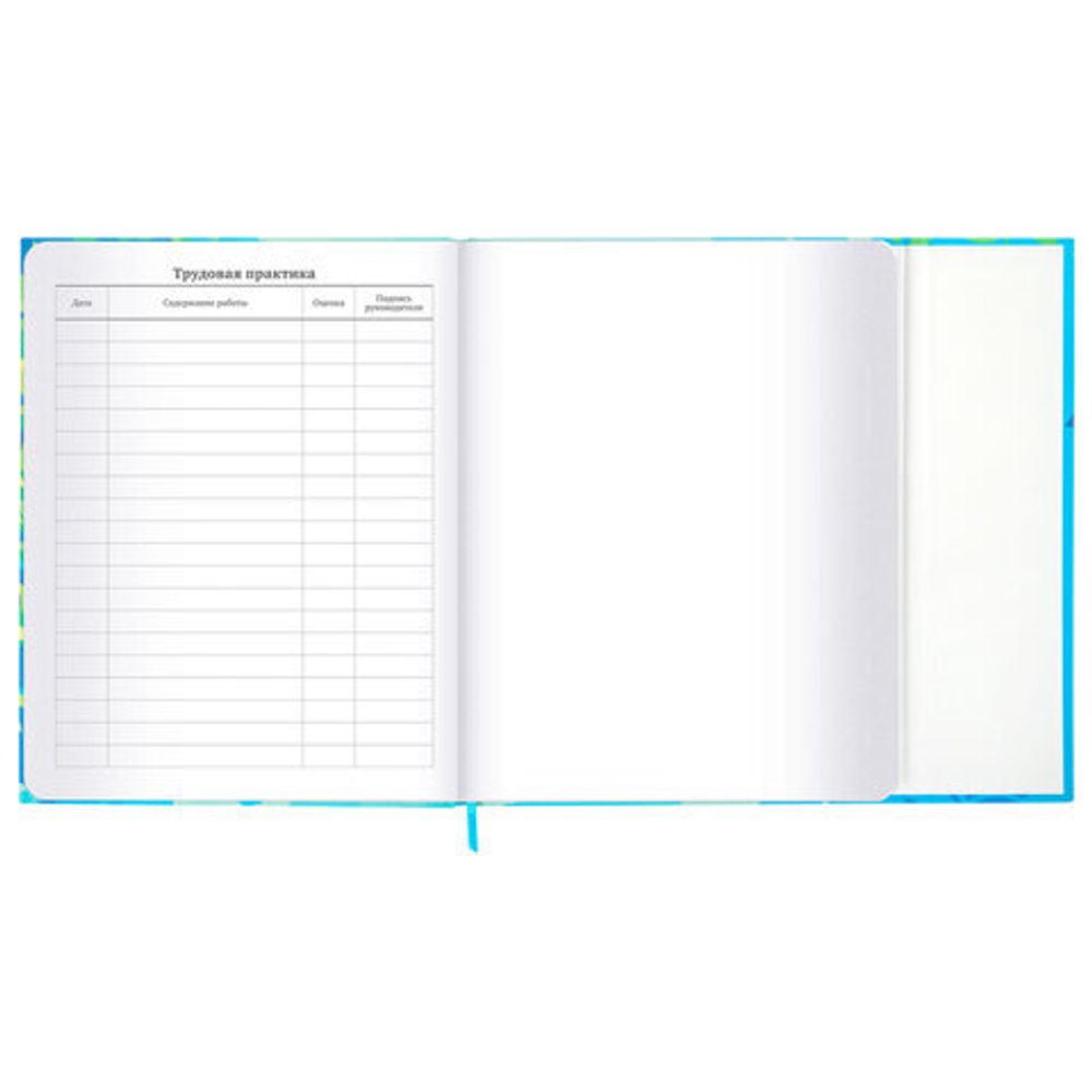 Дневник 1-11 класс 48 л., твердый, BRAUBERG, матовая ламинация, магнитный клапан, закладка-ляссе, с подсказом, "Котик", 107244