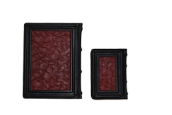 Набор из кожи в кейсе "Иллюстрированная библия+молитвослов"