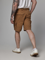 Шорты карго плотные Abercrombie & Fitch AB170