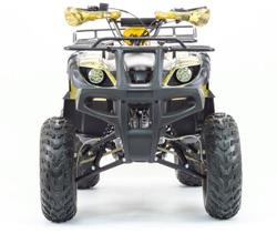 Квадроцикл MOTOLAND 250 Adventure (2021 Г.)