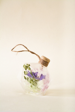 Льдинка Денежный