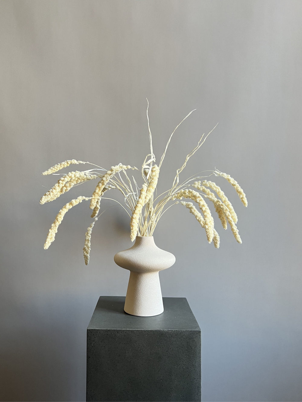 Сетария молочная