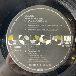Винтажная виниловая пластинка LP Black Wonderful Life (Германия 1987)
