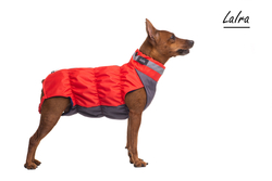 Жилет для собак Крокодил весна (ДЕВОЧКА) арт. 128