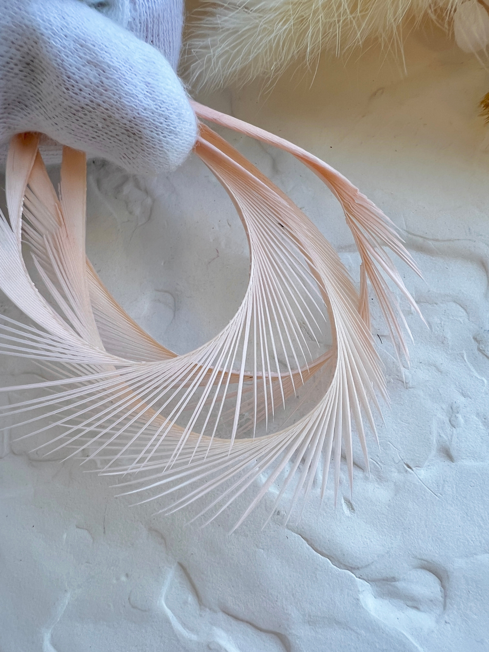 Гусиное перо, Молоко (5 шт)