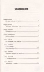 Железный Человек. Уничтожение