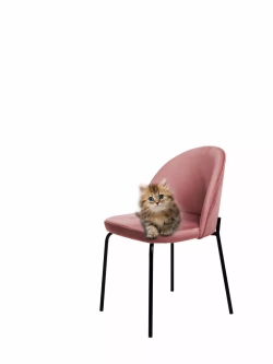 Стул "Мале" 1 шт. Антивандальная ткань, Дизайнерские ножки