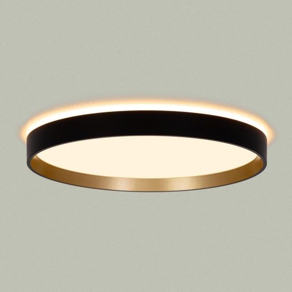 Светильник с пультом Citilux ETALON CL750321R