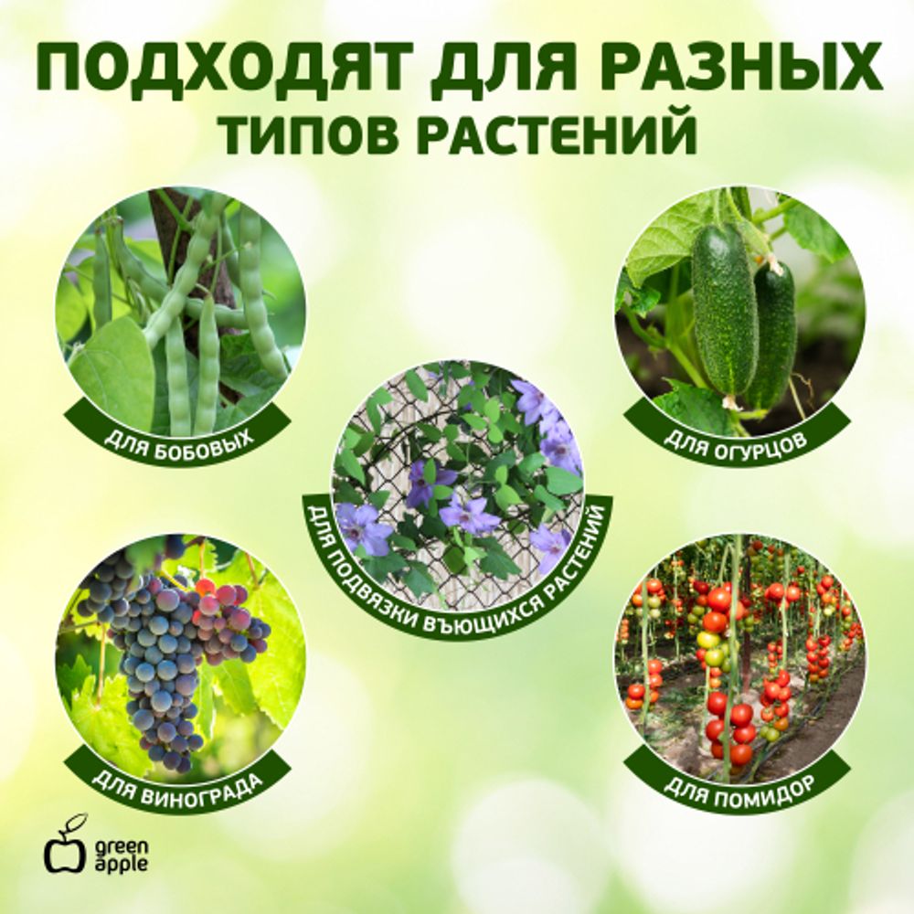 GPCR-2 GREEN APPLE Кольцо фиксатор цепочка | GREEN APPLE