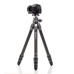 Штатив Benro TTOR24C+GX30 карбоновый с шаровой головкой