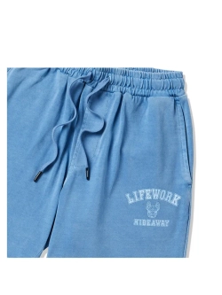 Пигментные шорты с арочной надписью