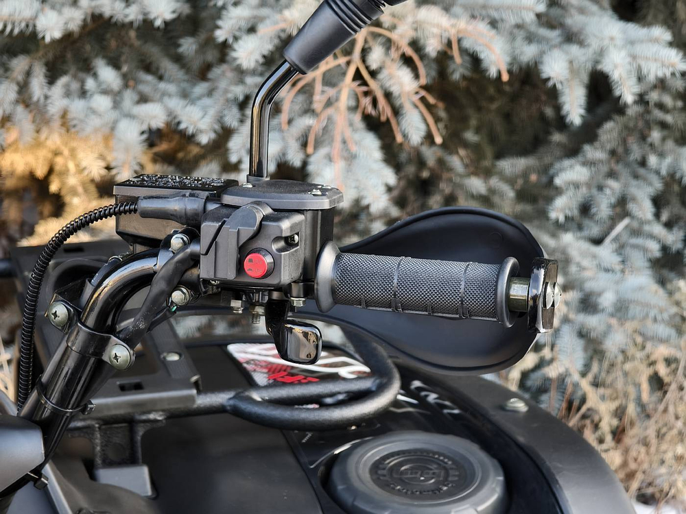 Квадроцикл BALTMOTORS BM500 EFI Черный