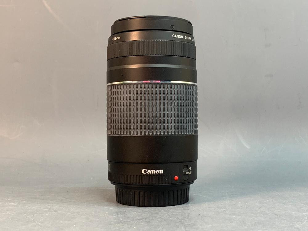 Canon EF 75-300mm 4-5.6 III
