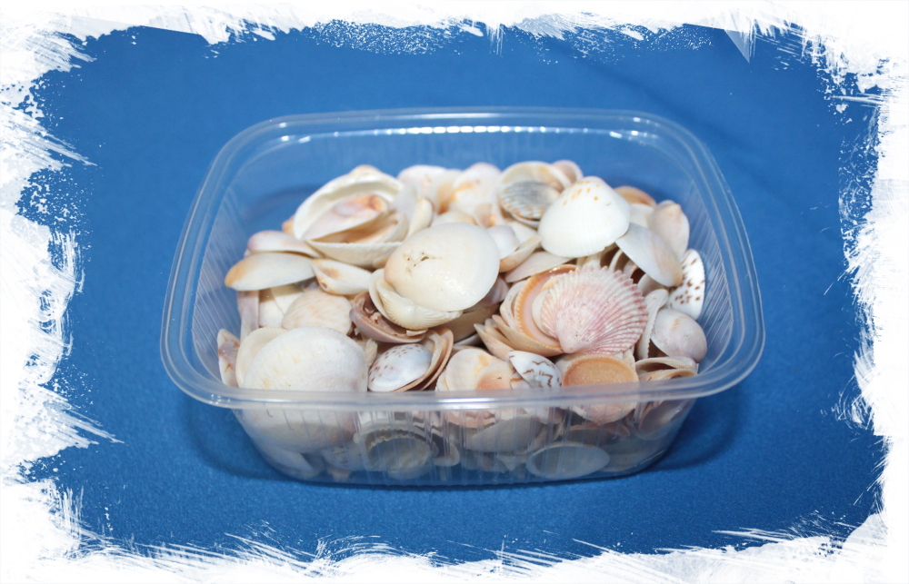 Цирце Скрипта