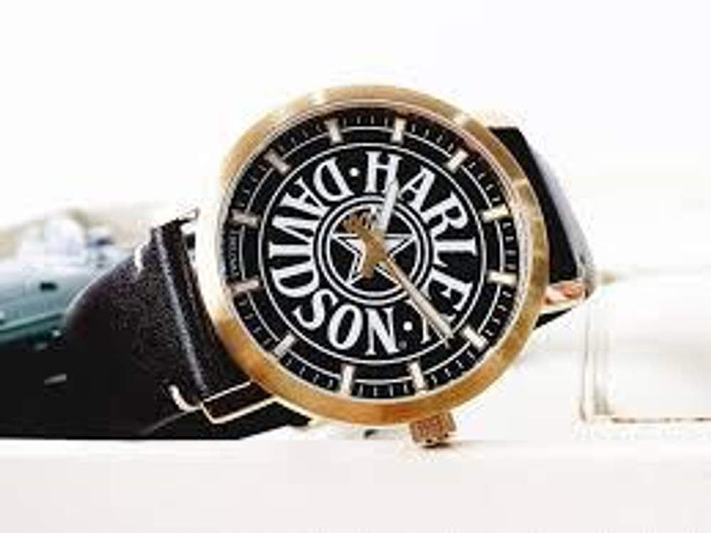 Часы Fat boy Harley-Davidson