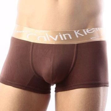 Мужские трусы боксеры коричневые с косой резинкой Calvin Klein Bronze Italics Boxer Brown