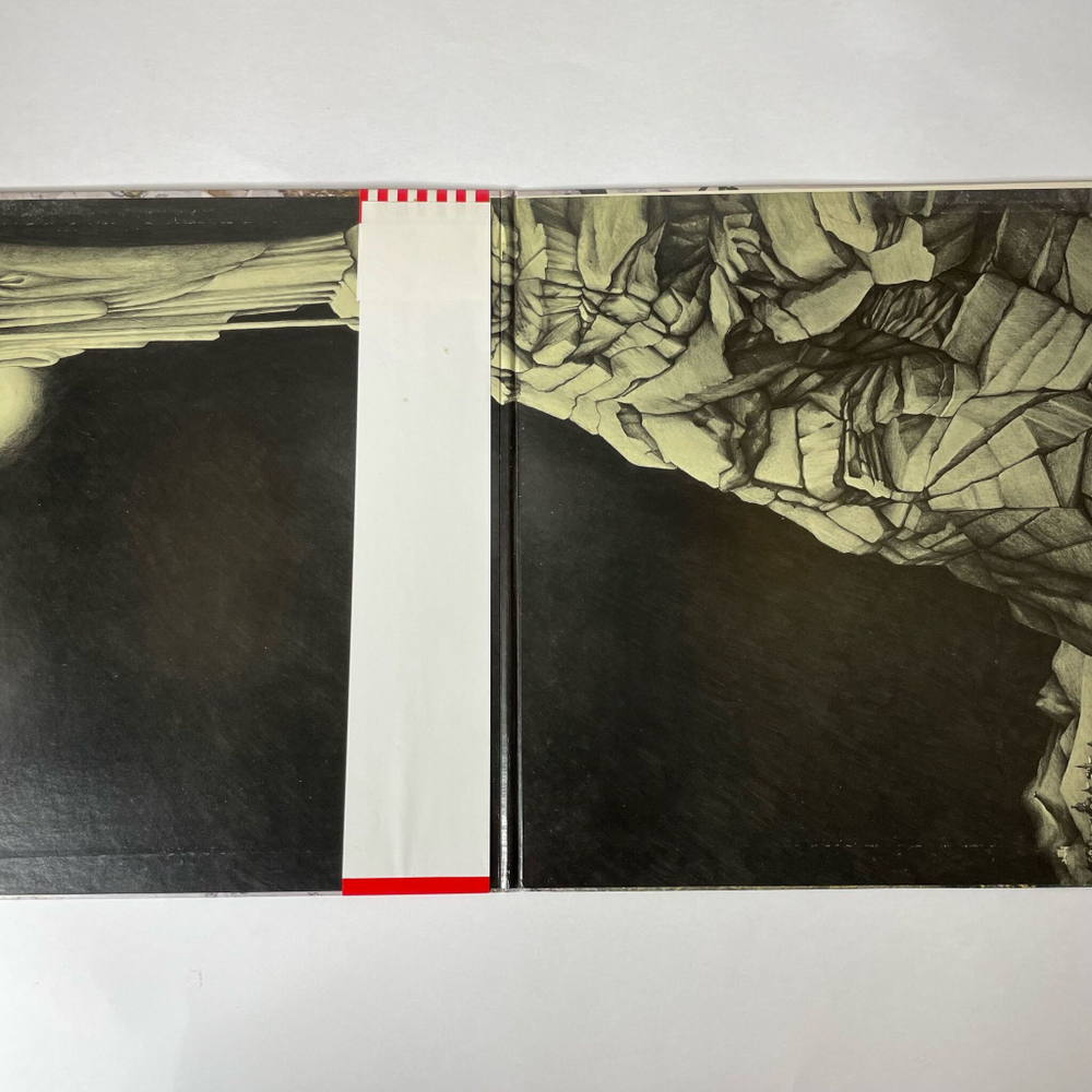 Винтажная виниловая пластинка LP Led Zeppelin IV (Japan 1976) (Obi) Going To California