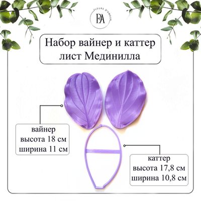 Набор вайнер и каттер листа Мединиллы