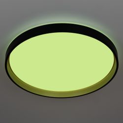 Citilux ENZO CL753511G LED RGB Светильник с пультом Черный + Золото