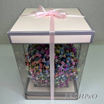 Радужная гипсофила в подарочной коробке 16х23