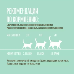 Деревенские лакомства консервы для кастрированных кошек с говядиной (соус) 85 г пакетик (70063088)