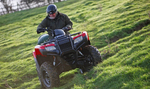 Квадроцикл HONDA TRX420