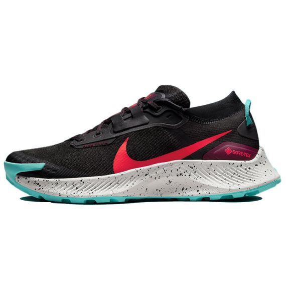 Nike Pegasus Trail 3 Gore-Tex