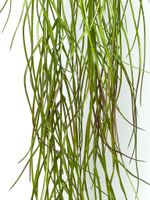 Трава луговая 130 см.