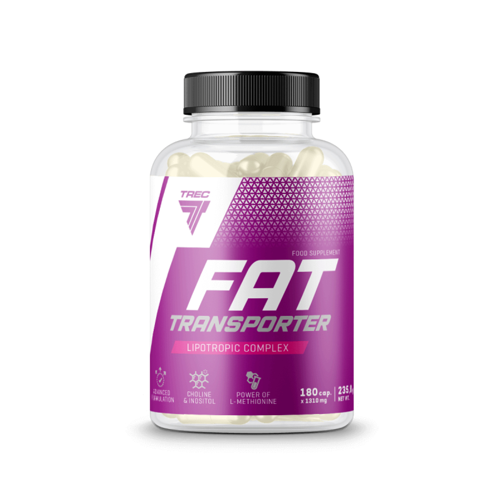 Fat Transporter